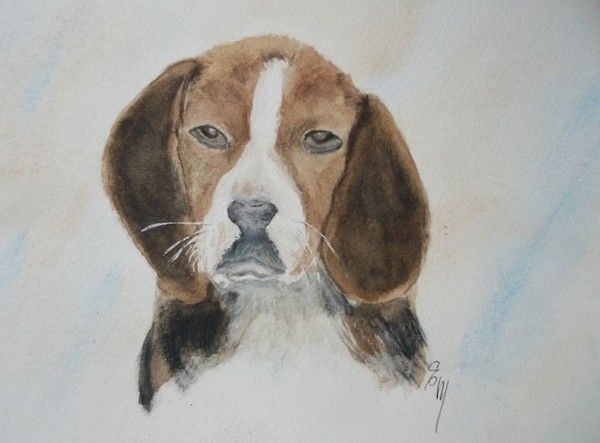 AQUARELLE ANIMALIERE