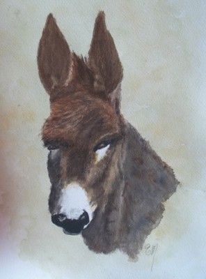AQUARELLE ANIMALIERE