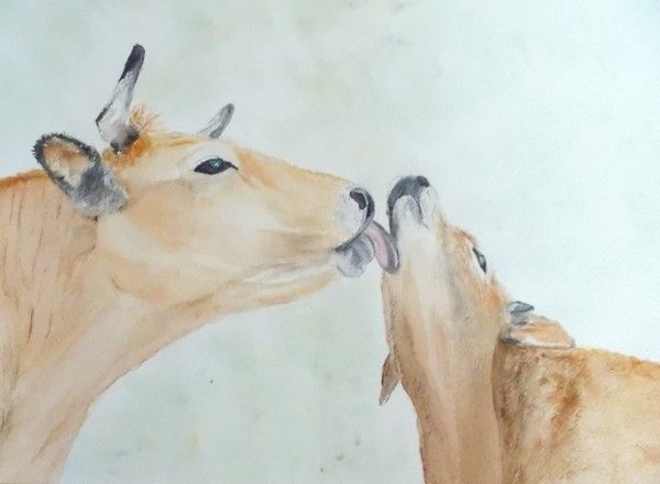 AQUARELLE ANIMALIERE
